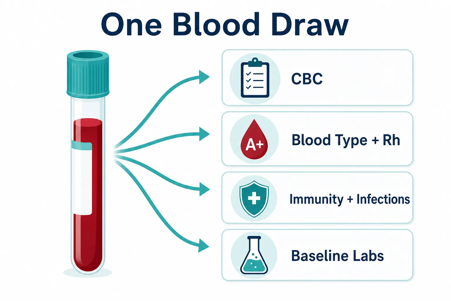Infographic showing how one first trimester blood draw is tested for CBC, blood type and Rh, immunity and infections, and baseline labs